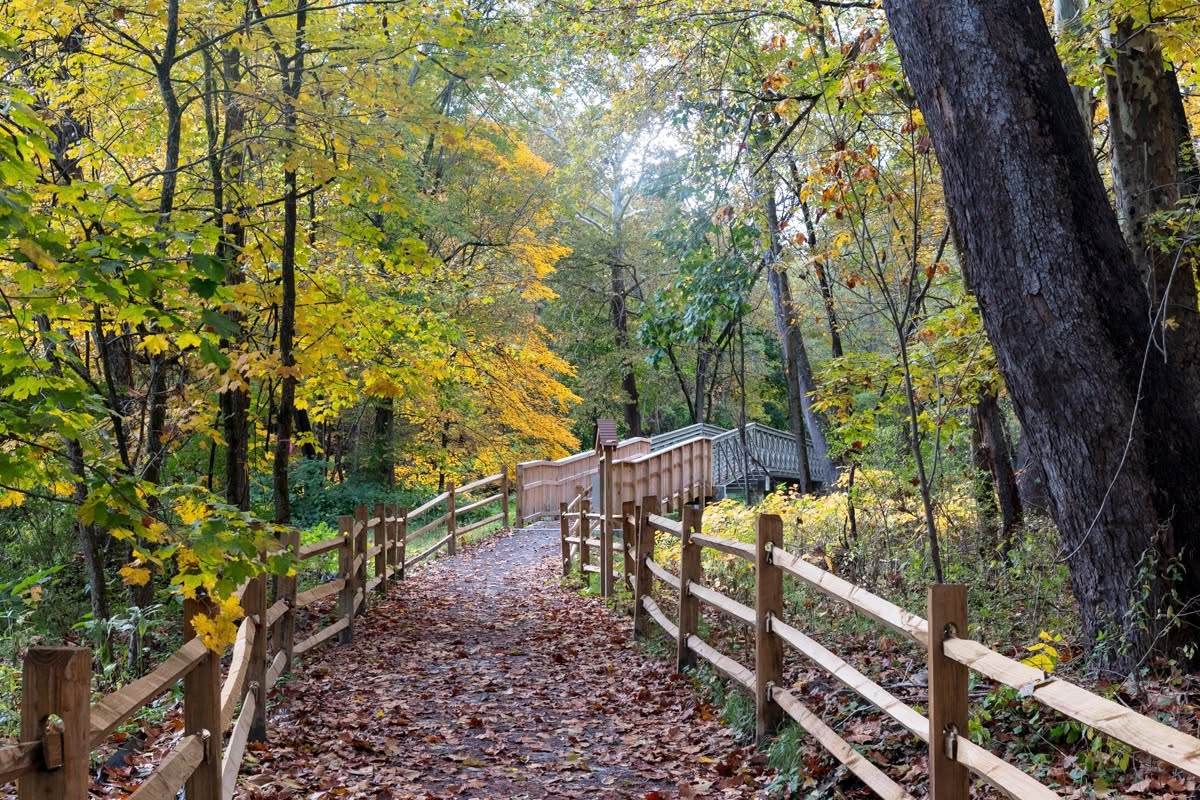 Hollow Oak Land Trust