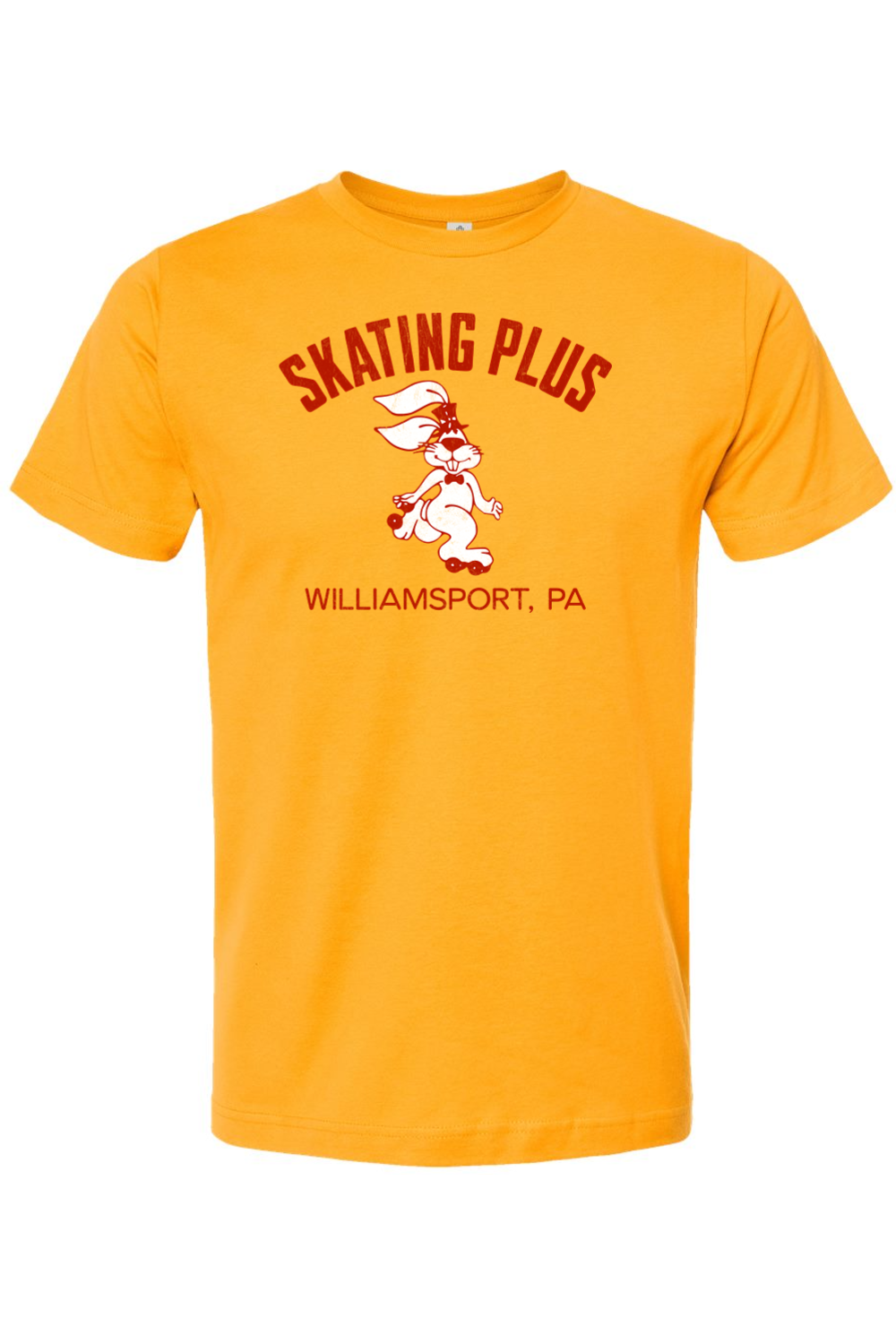 Skating Plus - Williamsport, PA - Yinzylvania