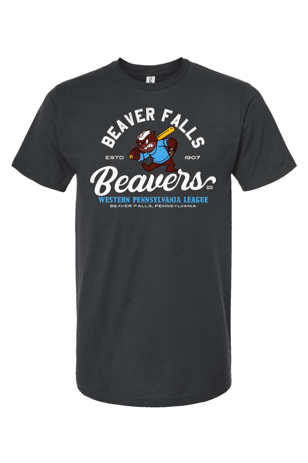 Beaver Falls Beaver Baseball - 1907 - Yinzylvania