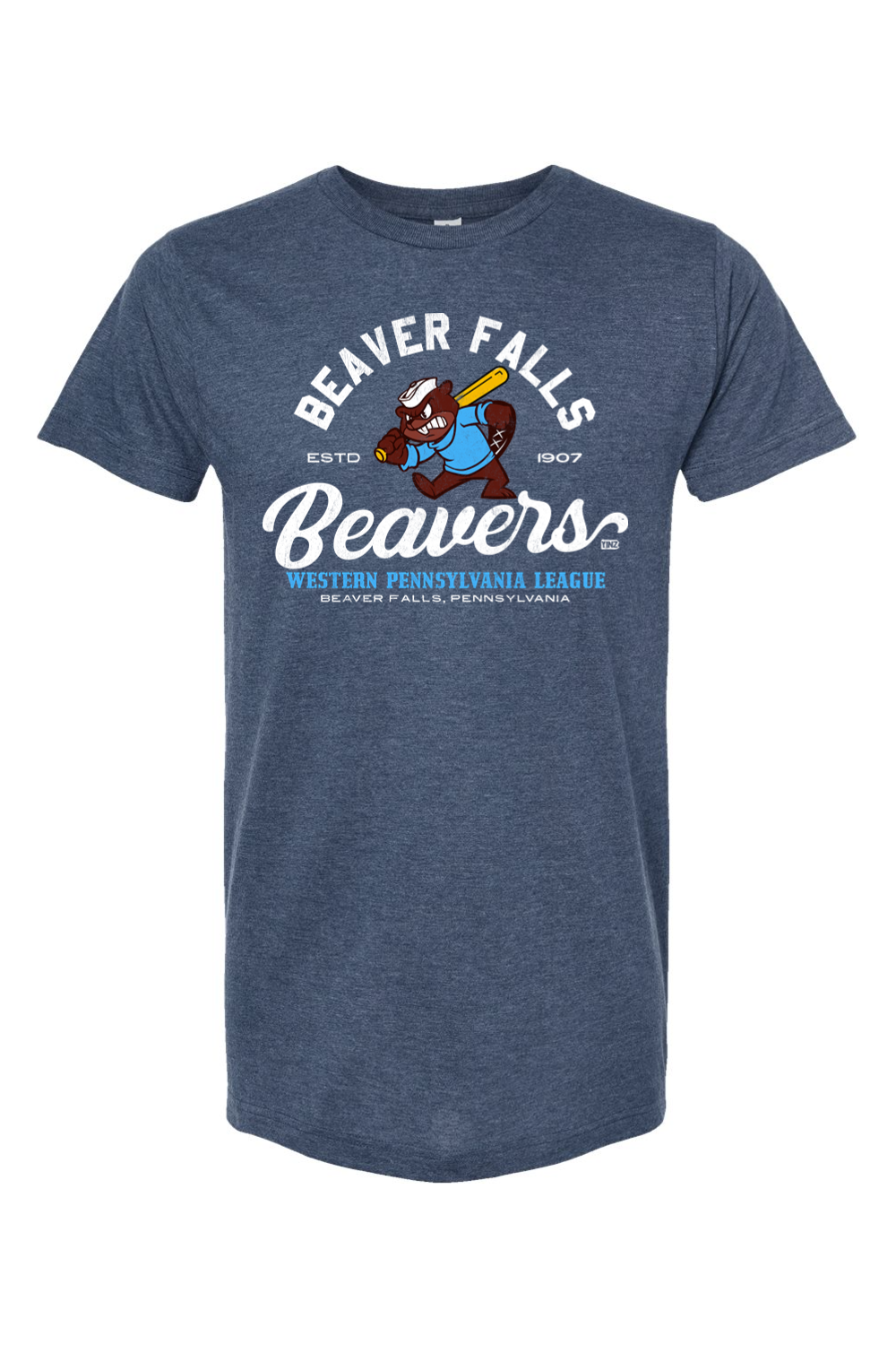 Beaver Falls Beaver Baseball - 1907 - Yinzylvania