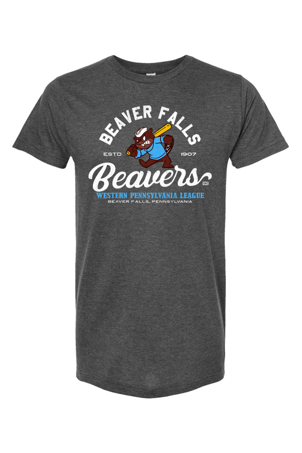 Beaver Falls Beaver Baseball - 1907 - Yinzylvania