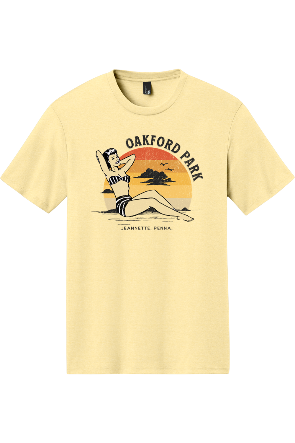 Oakford Park - Jeannette, PA - Triblend Tee - Yinzylvania