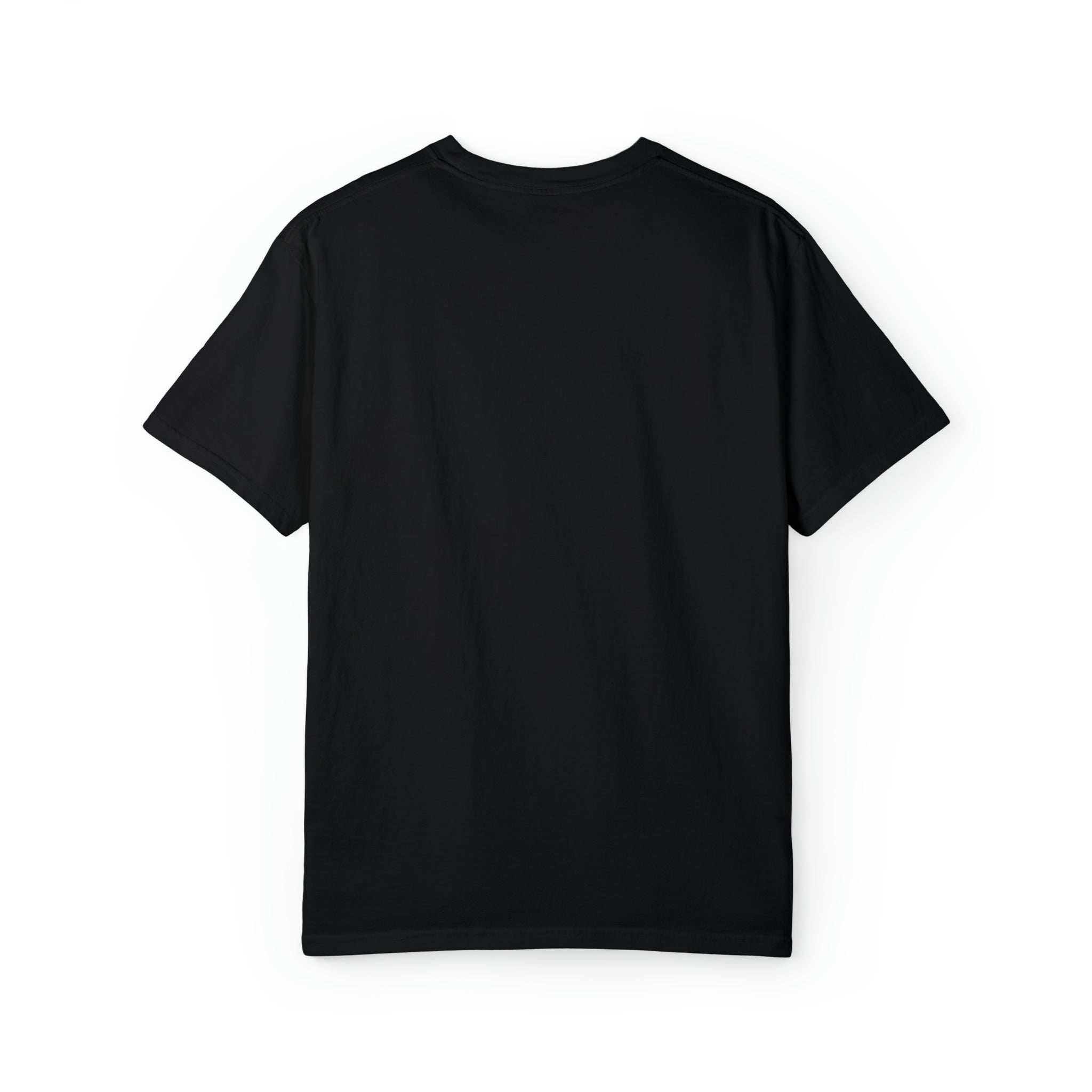 Choose Your Own Design - Unisex Classic Tee - Yinzylvania