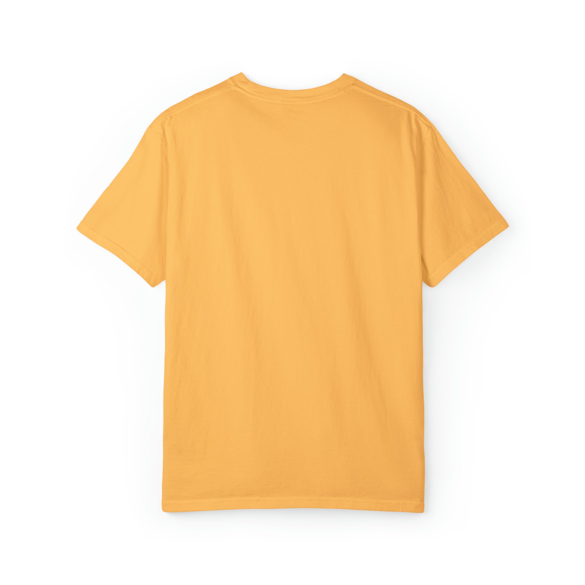 Choose Your Own Design - Unisex Classic Tee - Yinzylvania