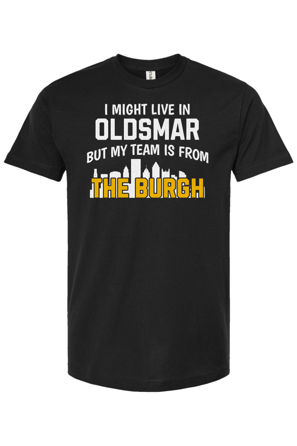 I Might Live in Oldsmar - Yinzylvania