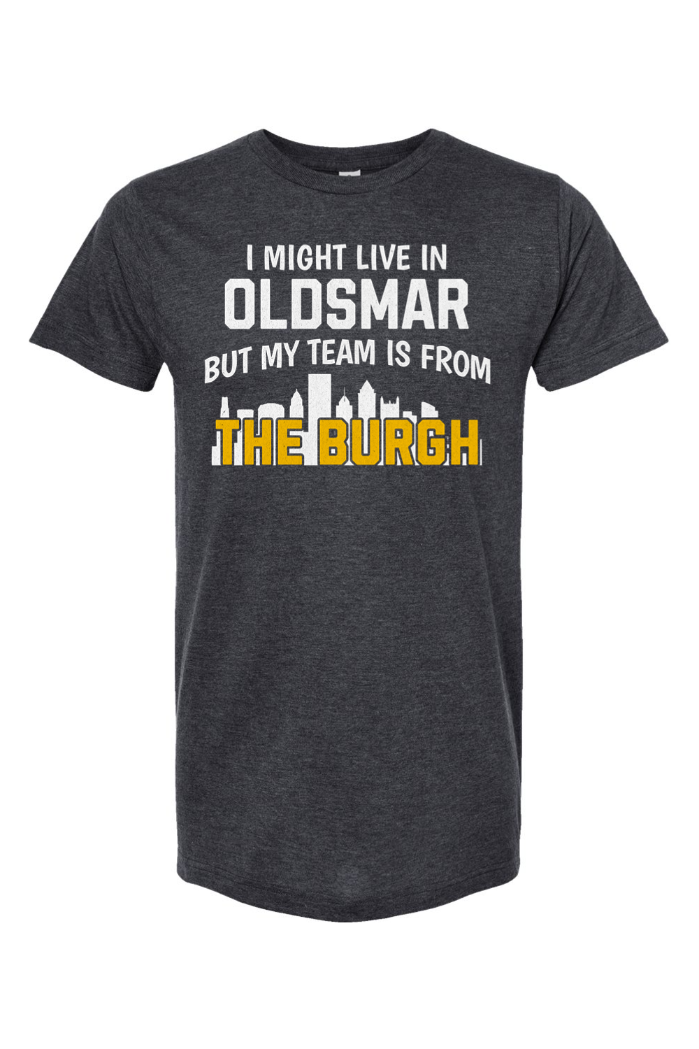 I Might Live in Oldsmar - Yinzylvania