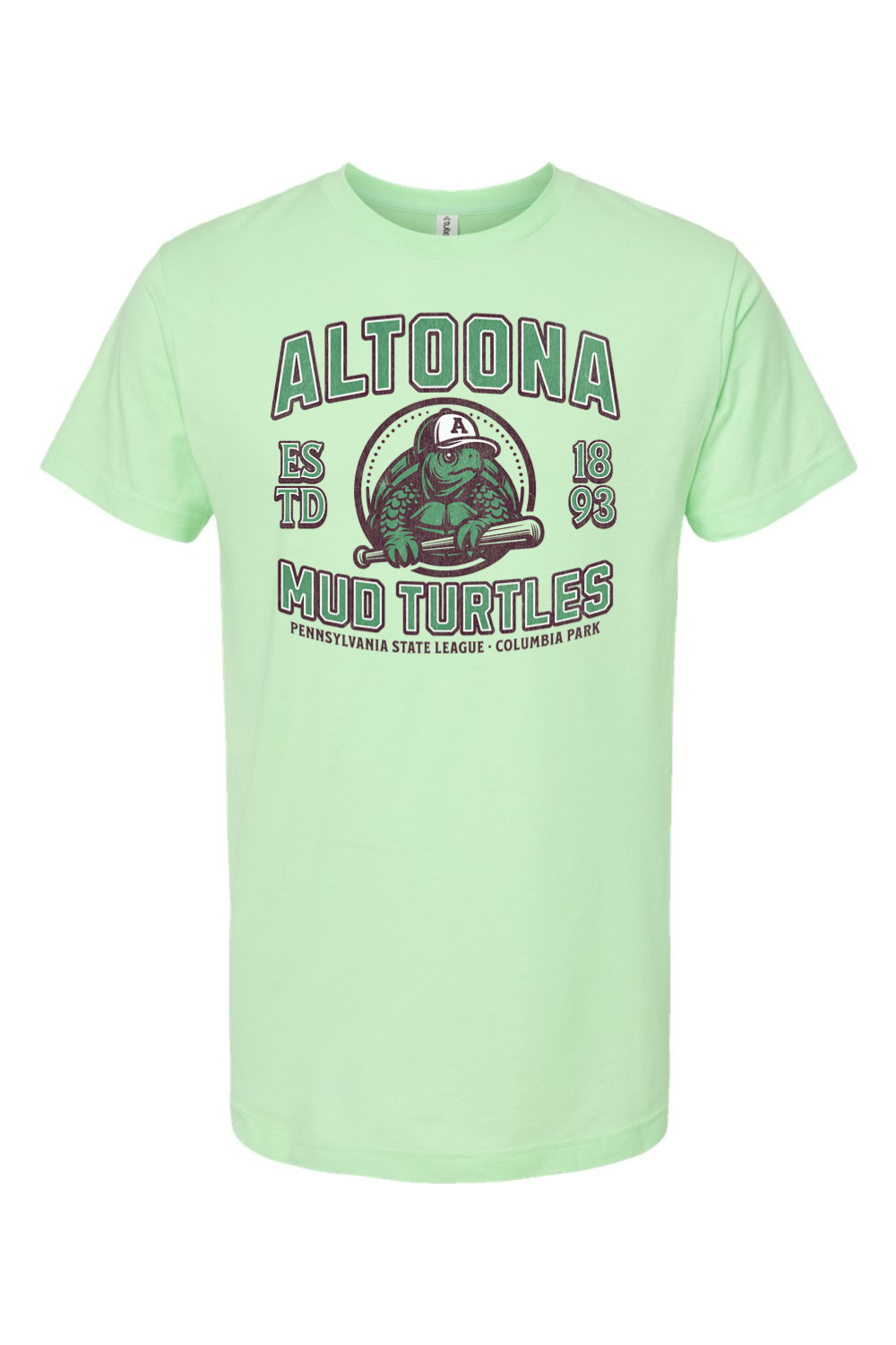 Altoona Mud Turtles Baseball - 1893 - Yinzylvania