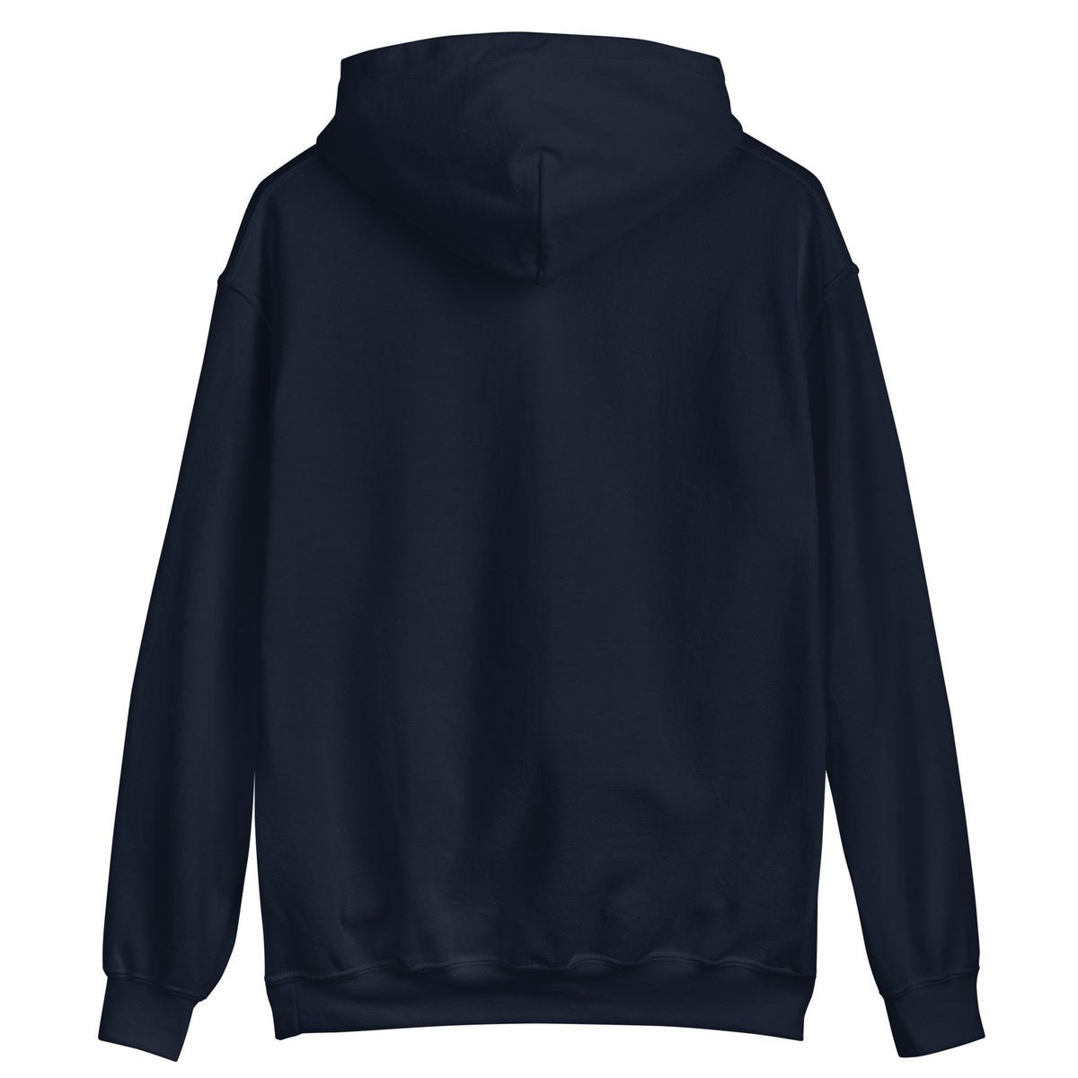 Homewood 15208 hoodie - Navy - back