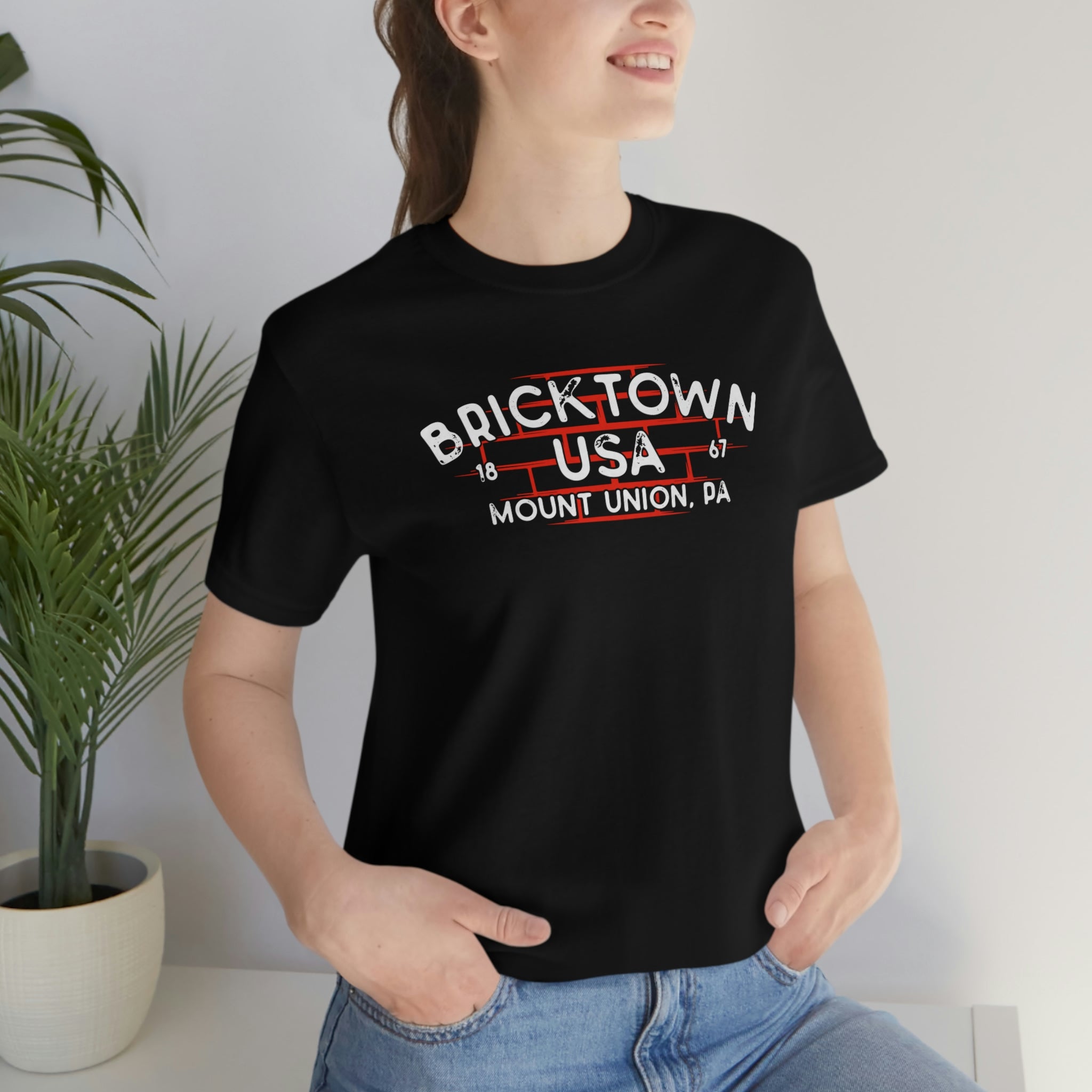 Bricktown, USA - Mount Union, PA - Yinzylvania