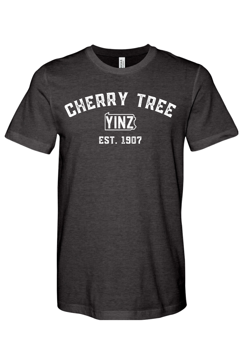 Cherry Tree Yinzylvania Bella + Canvas Heathered Jersey Tee - Yinzylvania