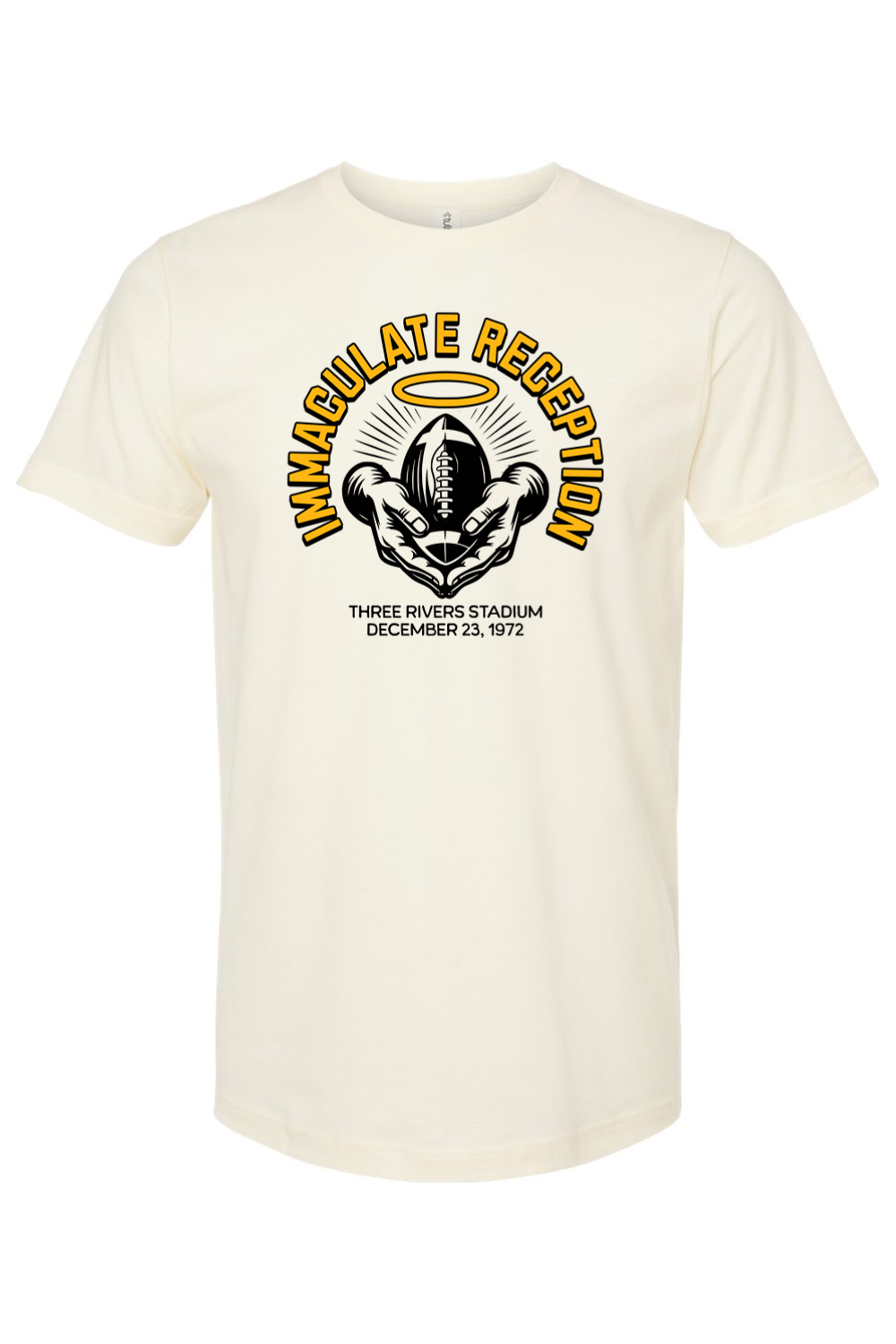 Immaculate Reception - Yinzylvania