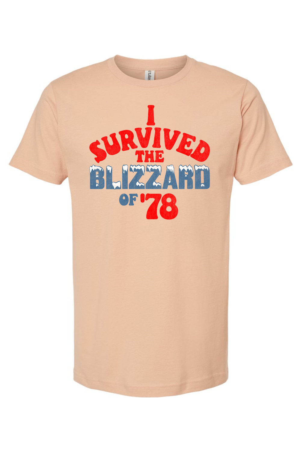 I Survived the Blizzard of '78 - Yinzylvania