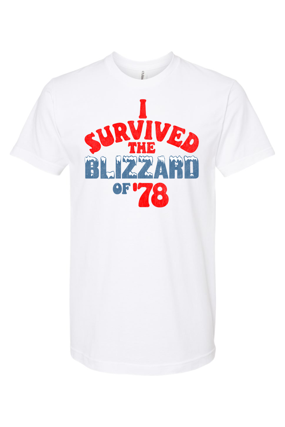 I Survived the Blizzard of '78 - Yinzylvania