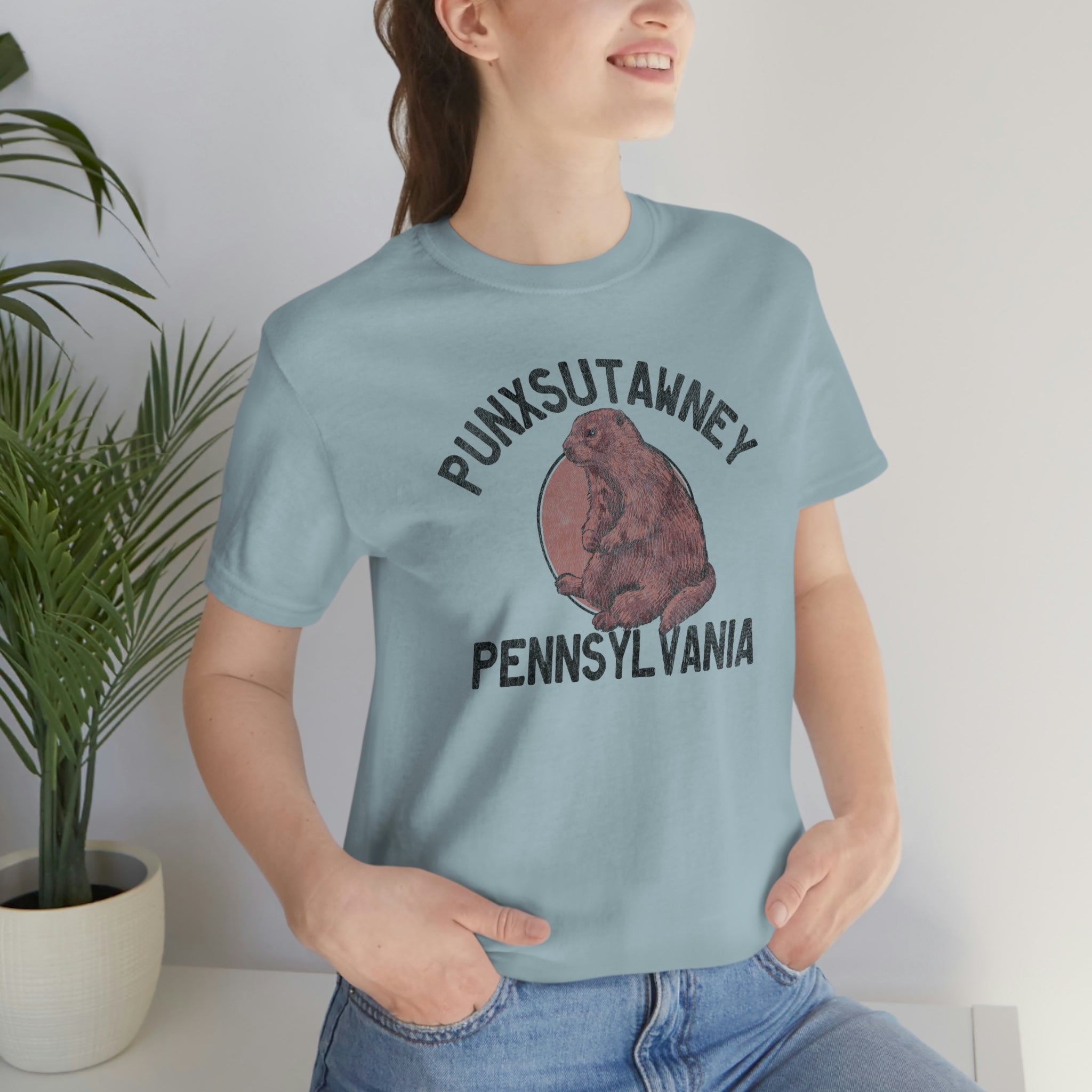 Punxsutawney Pennsylvania - Yinzylvania