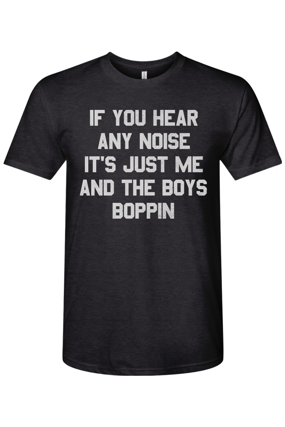 If You Hear Any Noise It's Just Me and the Boys Boppin - Triblend Tee