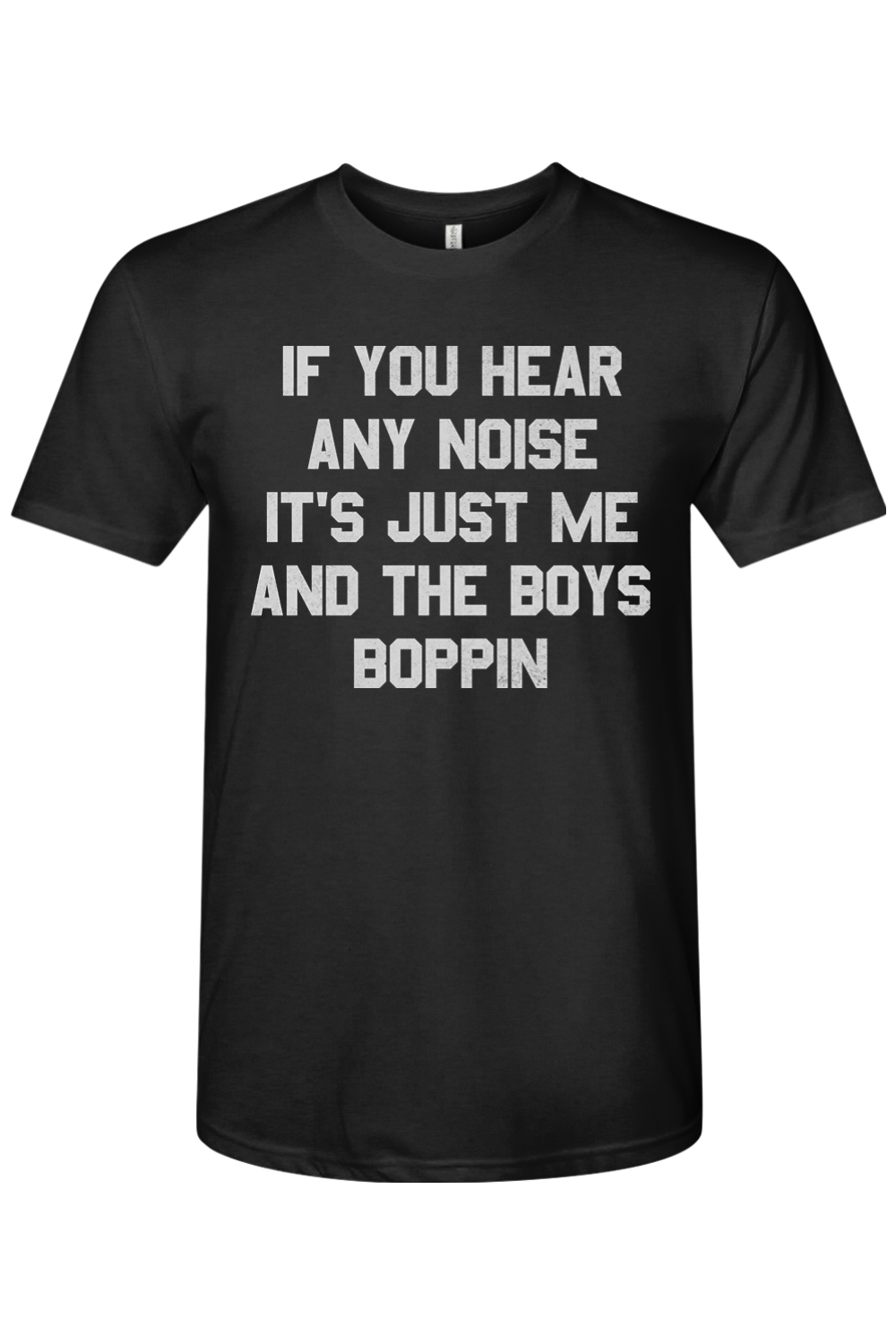 If You Hear Any Noise It's Just Me and the Boys Boppin - Triblend Tee