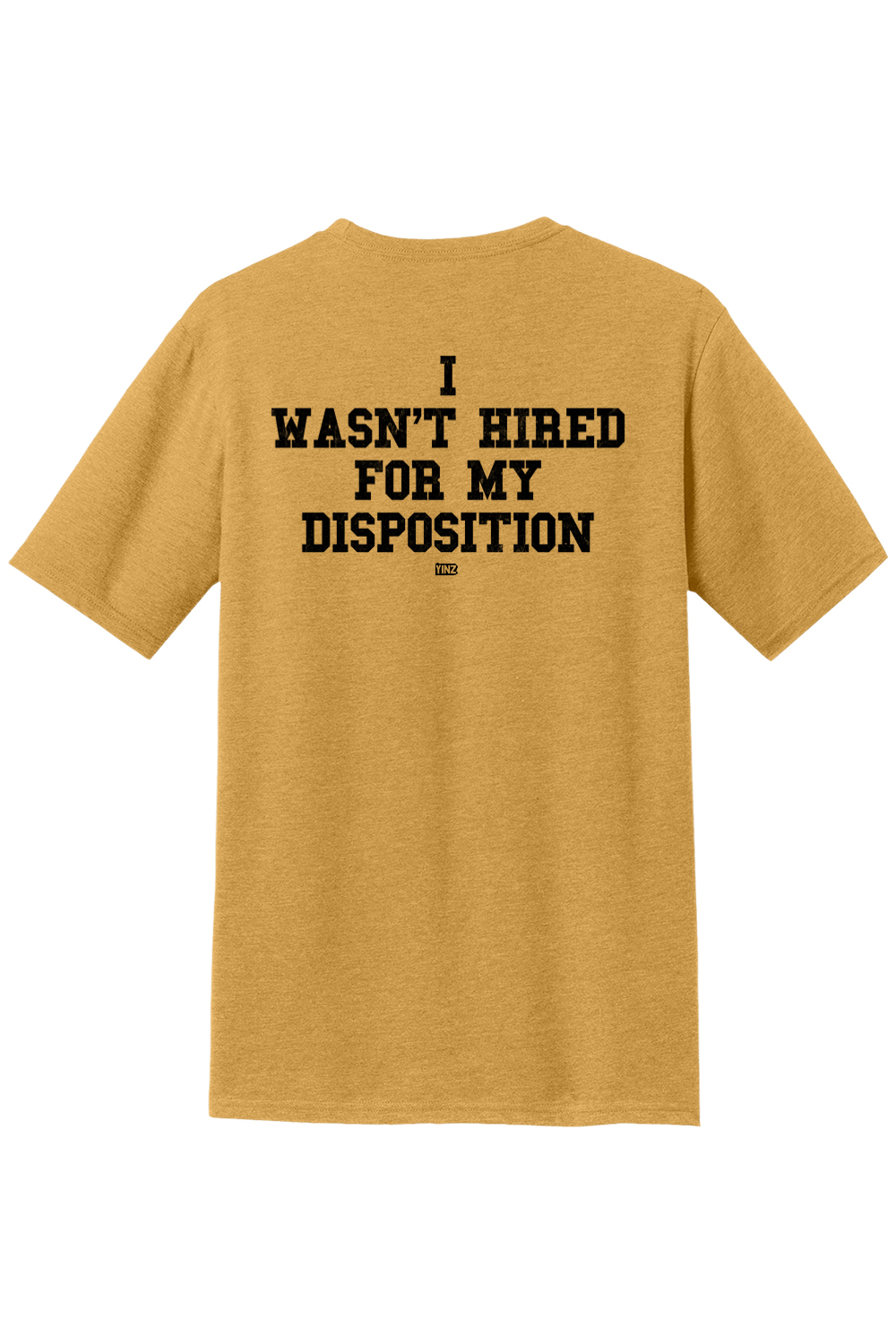 Disposition (Back Only) - Yinzylvania