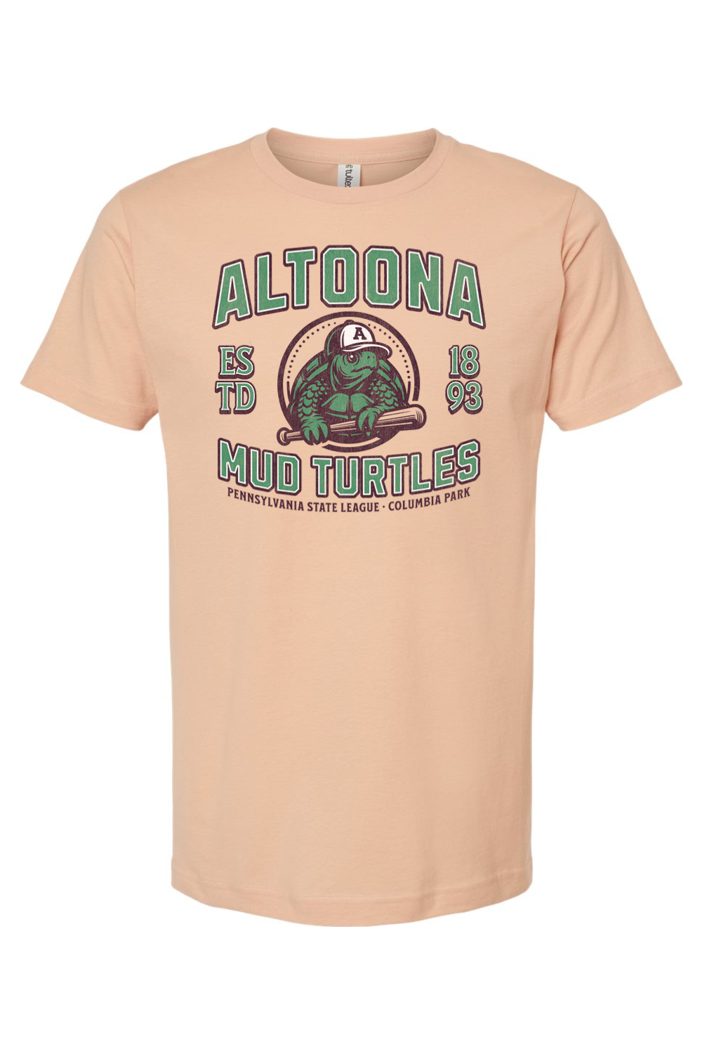 Altoona Mud Turtles Baseball - 1893 - Yinzylvania