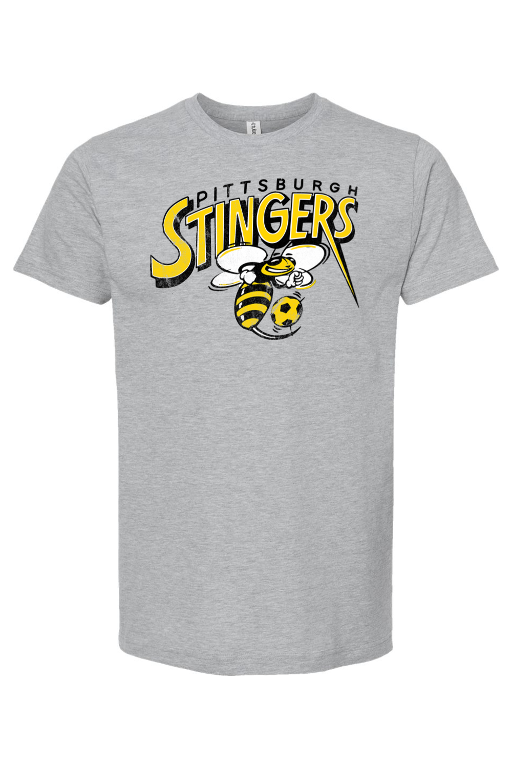 Pittsburgh Stingers - Indoor Soccer - 1994 - Yinzylvania