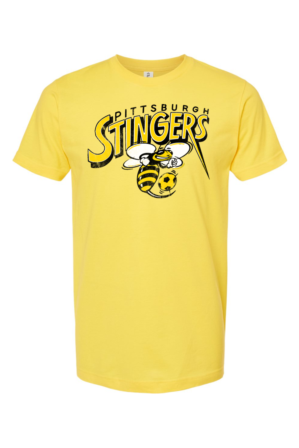 Pittsburgh Stingers - Indoor Soccer - 1994 - Yinzylvania