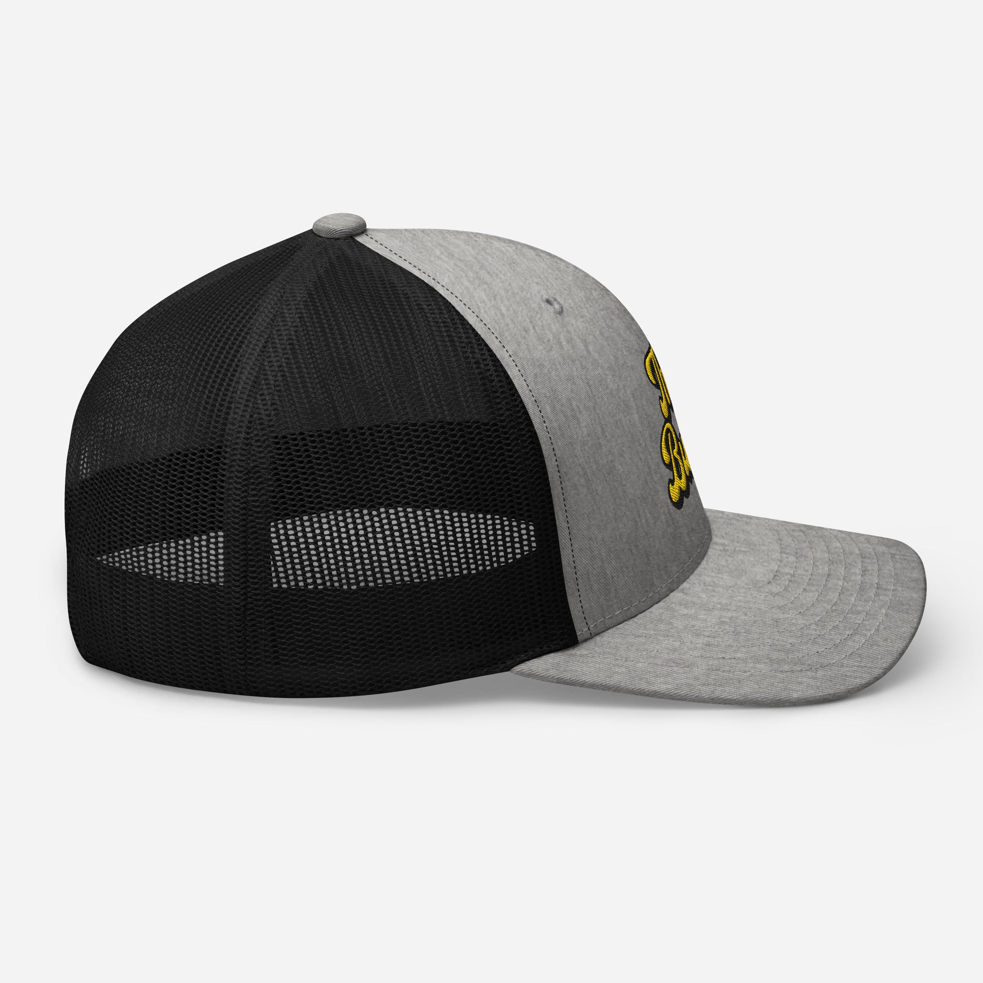 The Burgh - Embroidered Snapback Hat - Yinzylvania