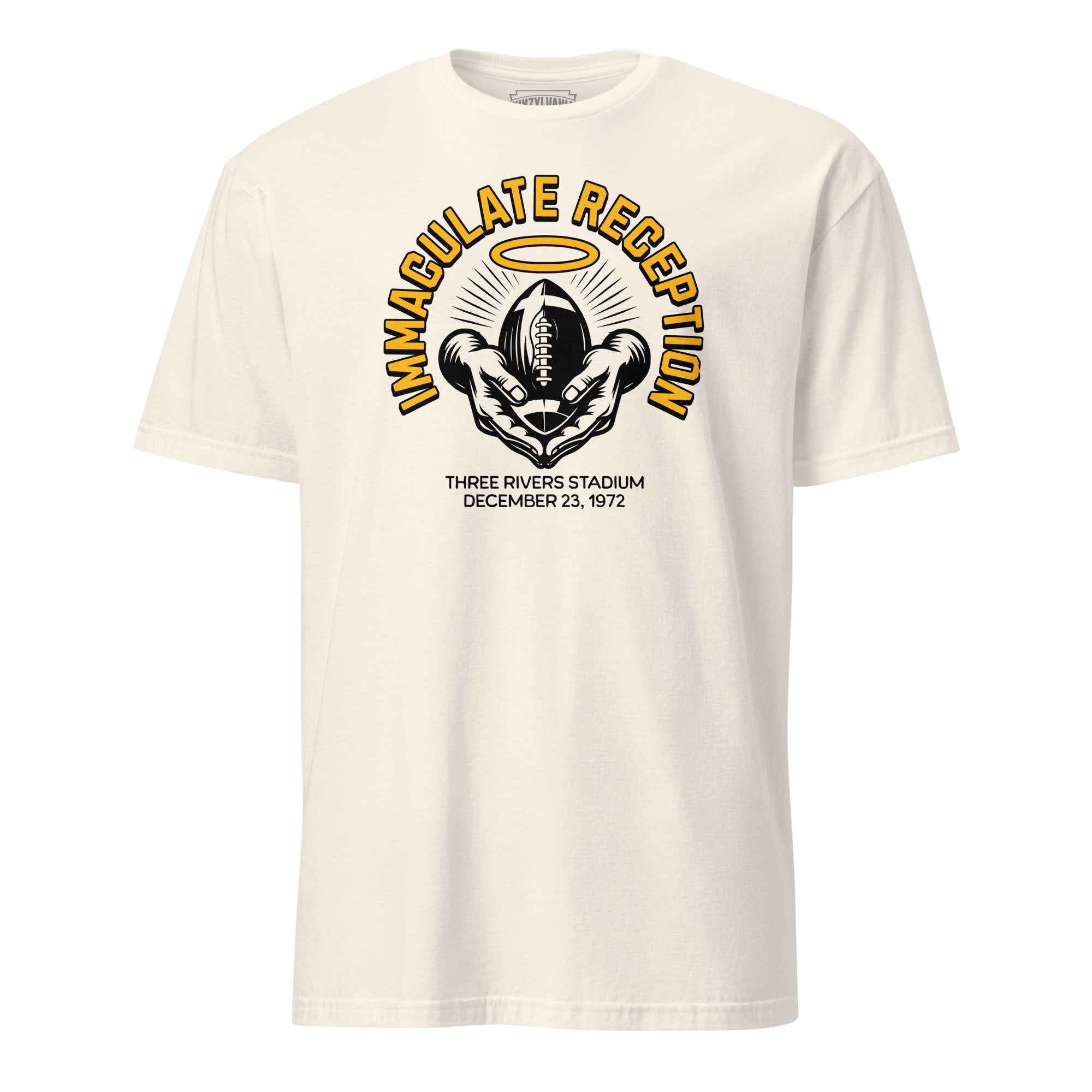 Immaculate Reception - Yinzylvania