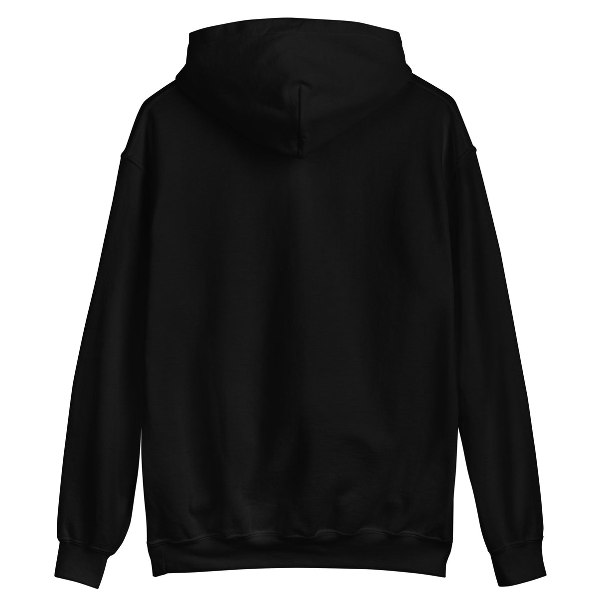 Homewood 15208 hoodie - Black - back