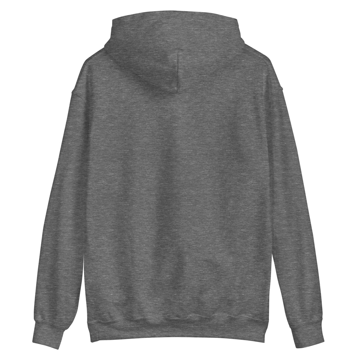 Homewood 15208 hoodie - Graphite Heather - back