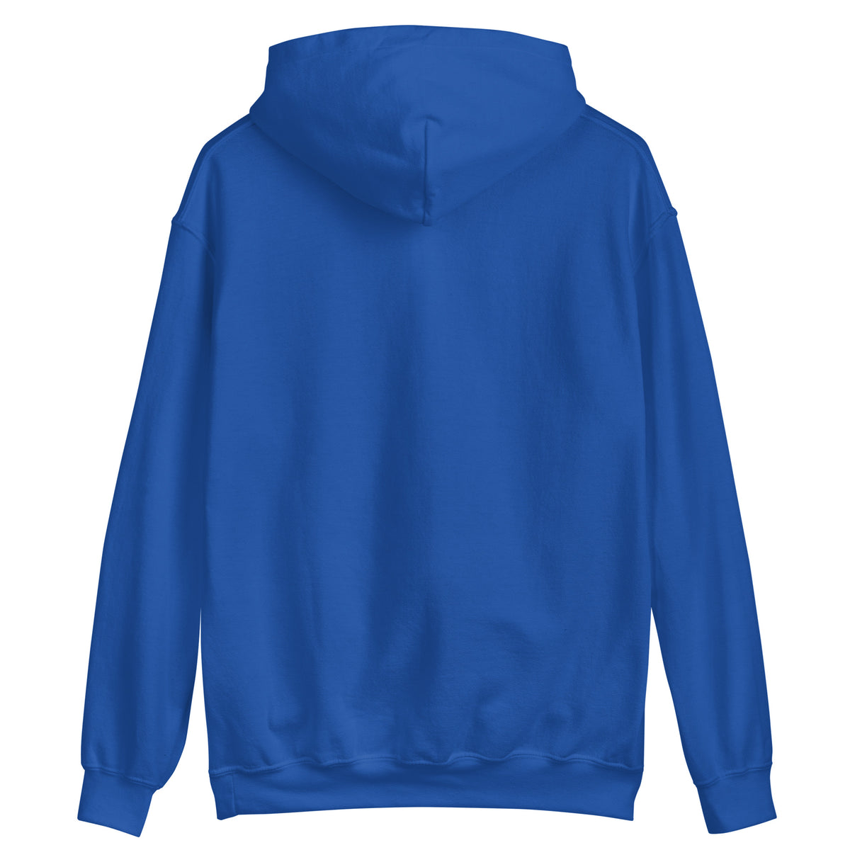 Homewood 15208 hoodie - Royal - back
