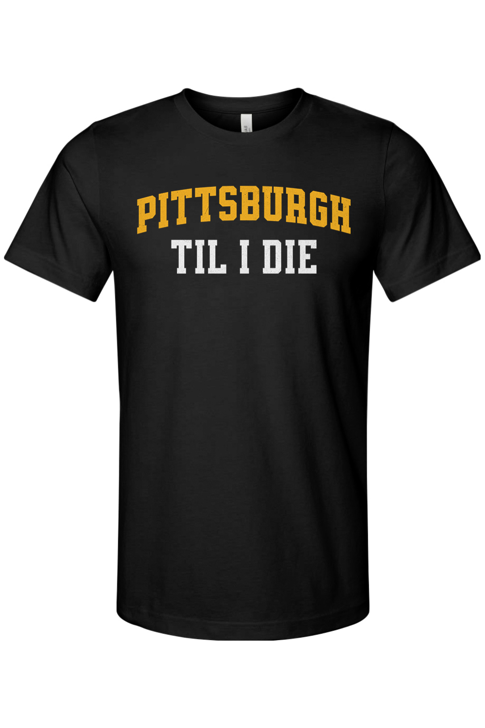 Pittsburgh Til I Die - Yinzylvania
