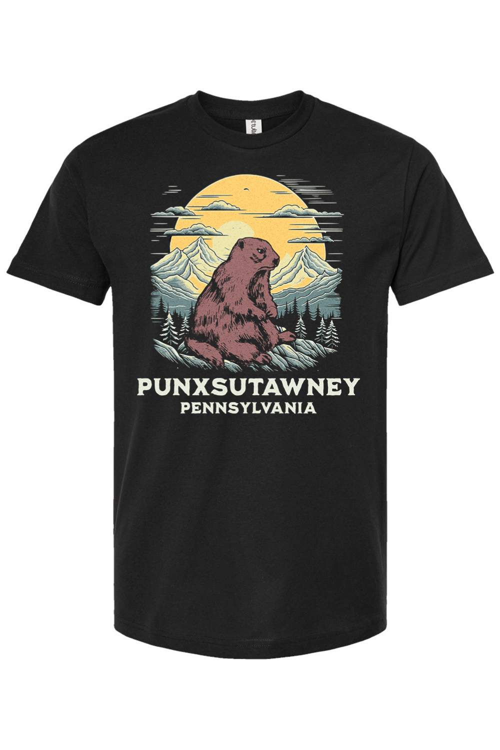 Punxsutawney Pennsylvania - Yinzylvania