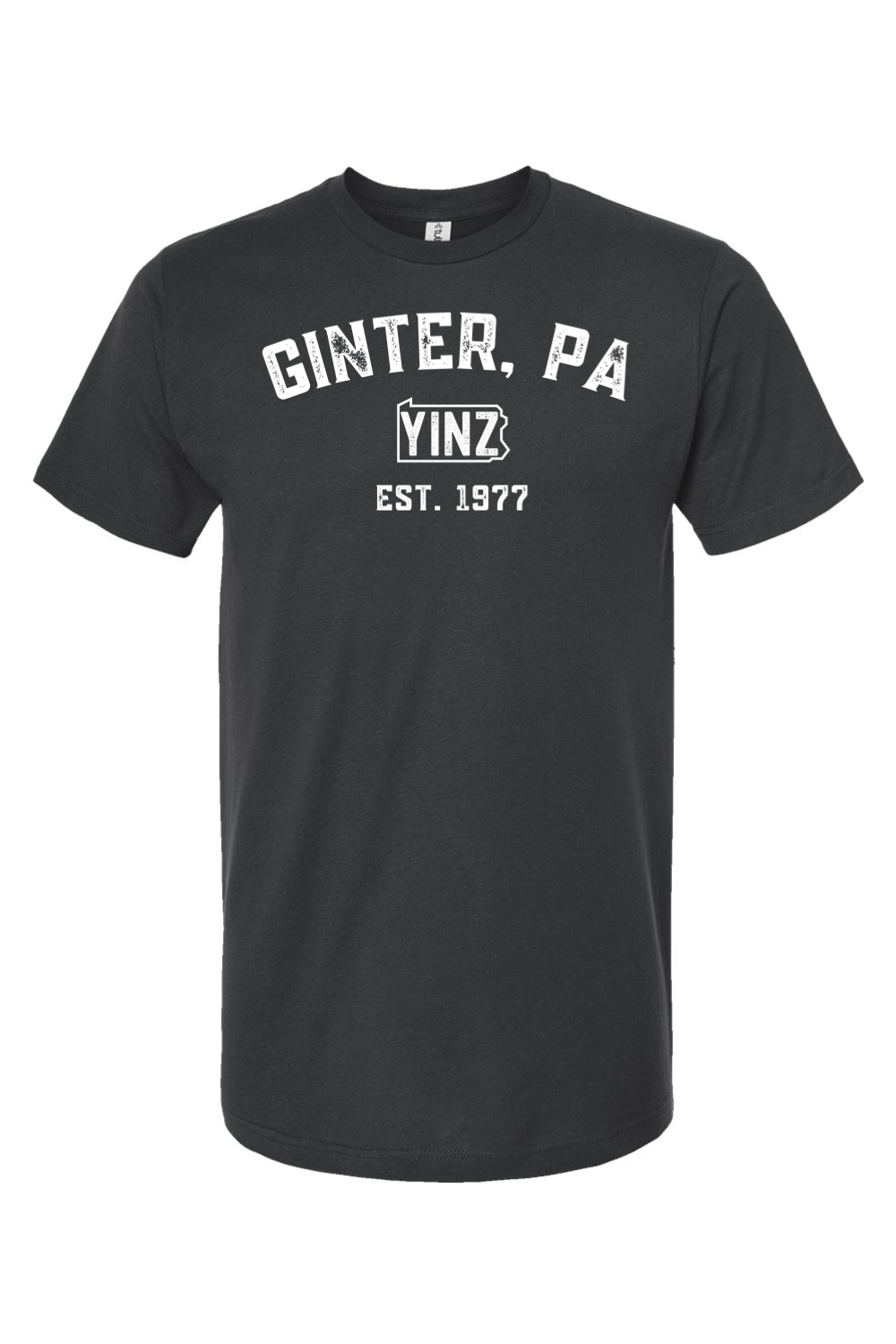 Ginter Yinzylvania - Yinzylvania