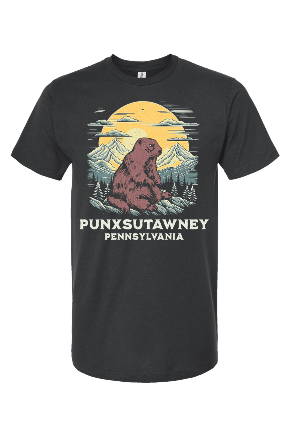 Punxsutawney Pennsylvania - Yinzylvania