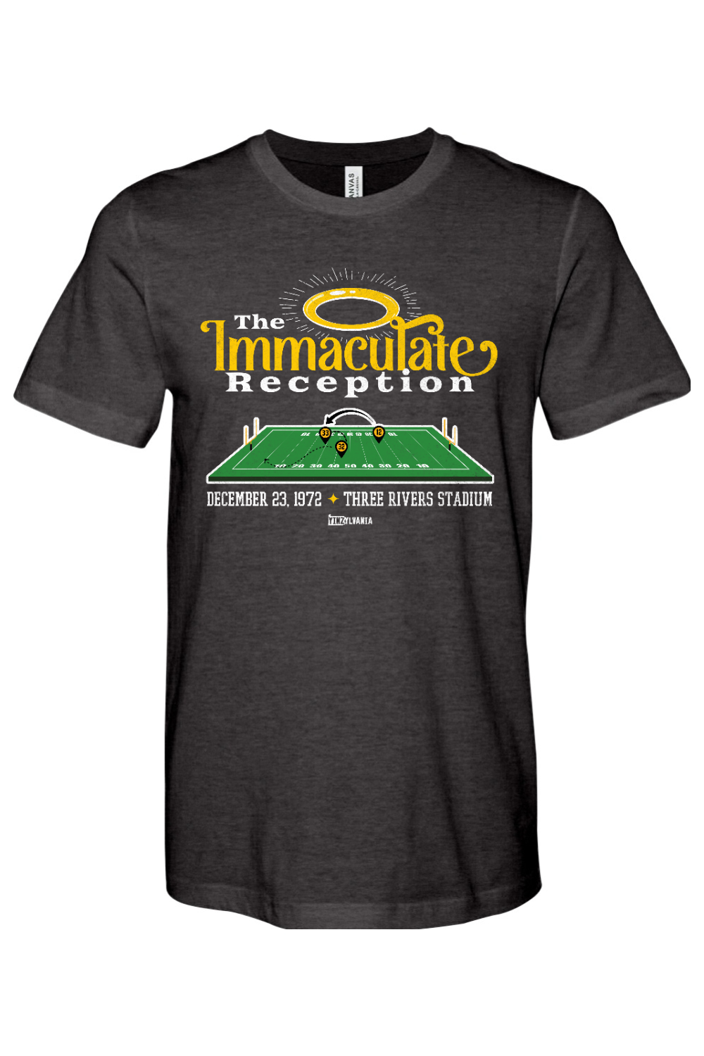 Immaculate Reception - Yinzylvania