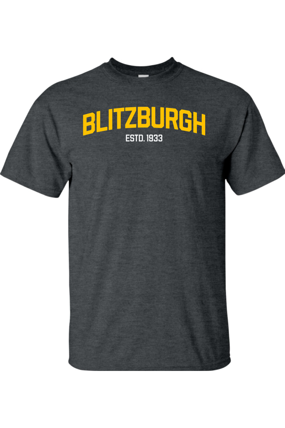 Blitzburgh ESTD 1933 - 4XL & 5XL T-Shirt - Yinzylvania