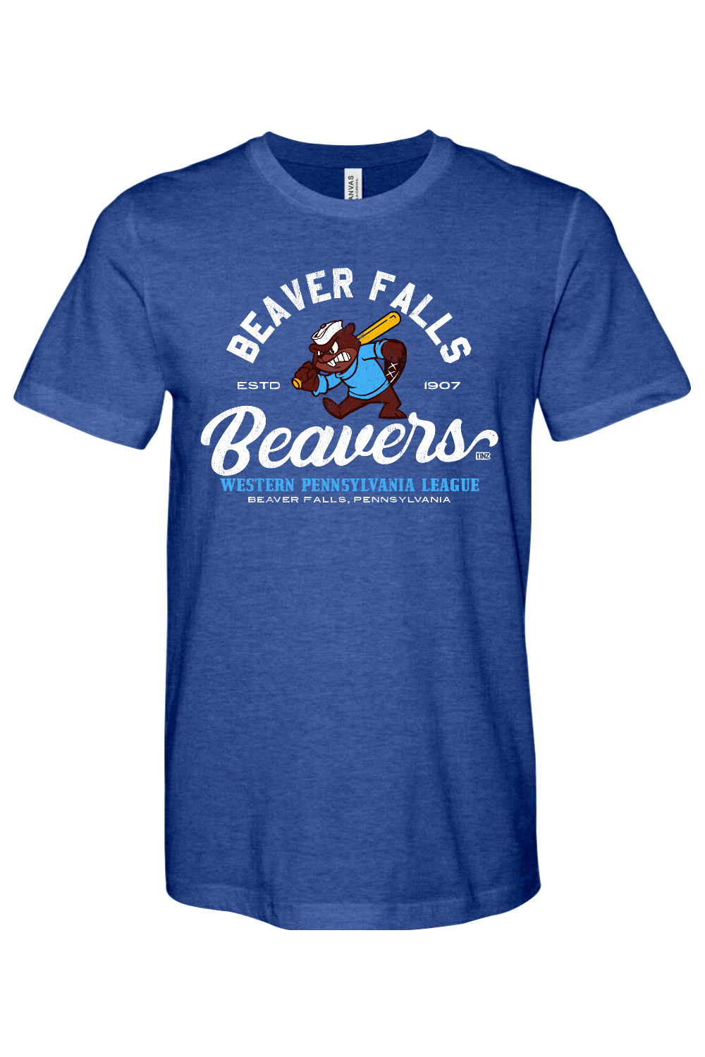 Beaver Falls Beavers Baseball - 1907 - Yinzylvania