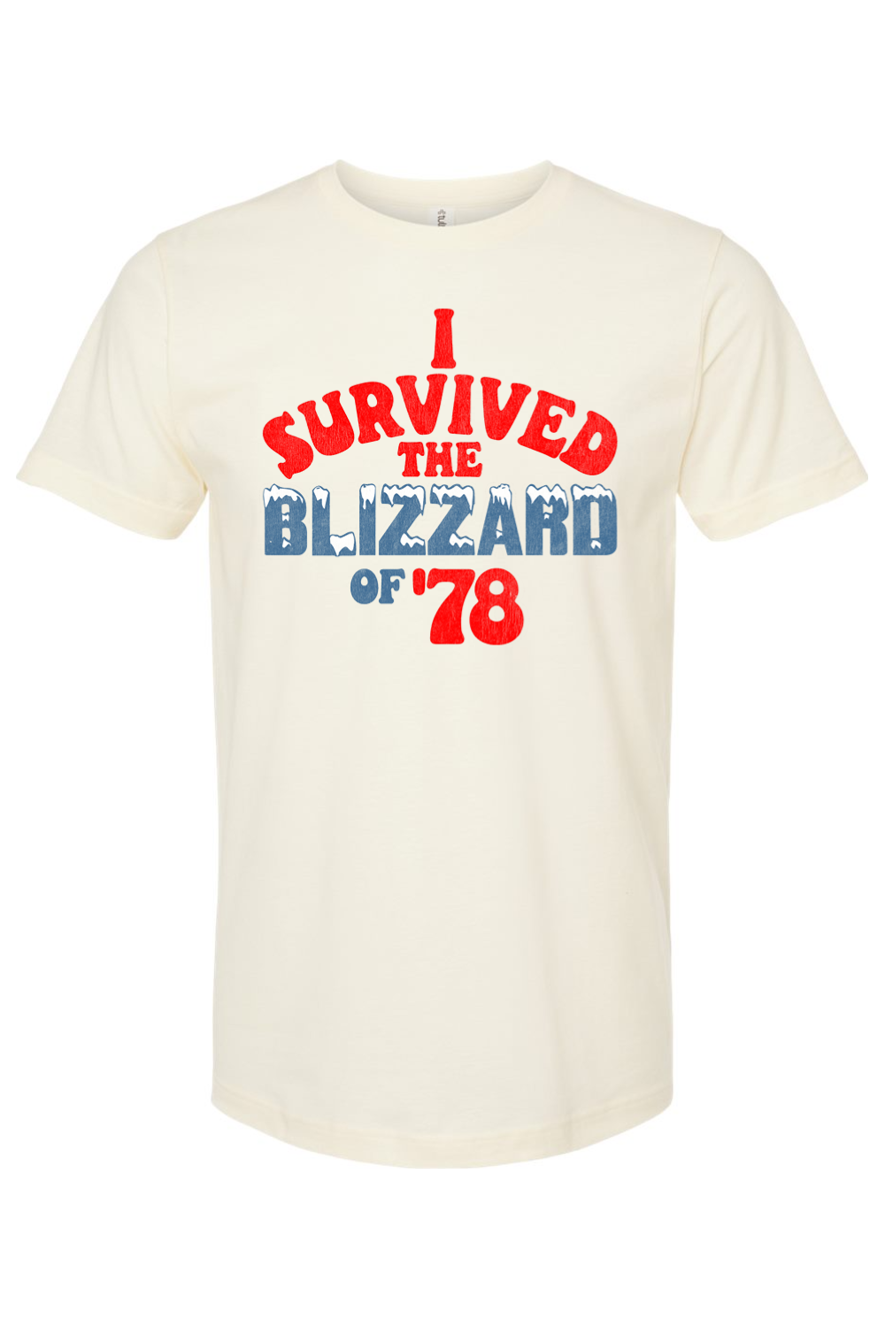 I Survived the Blizzard of '78 - Yinzylvania