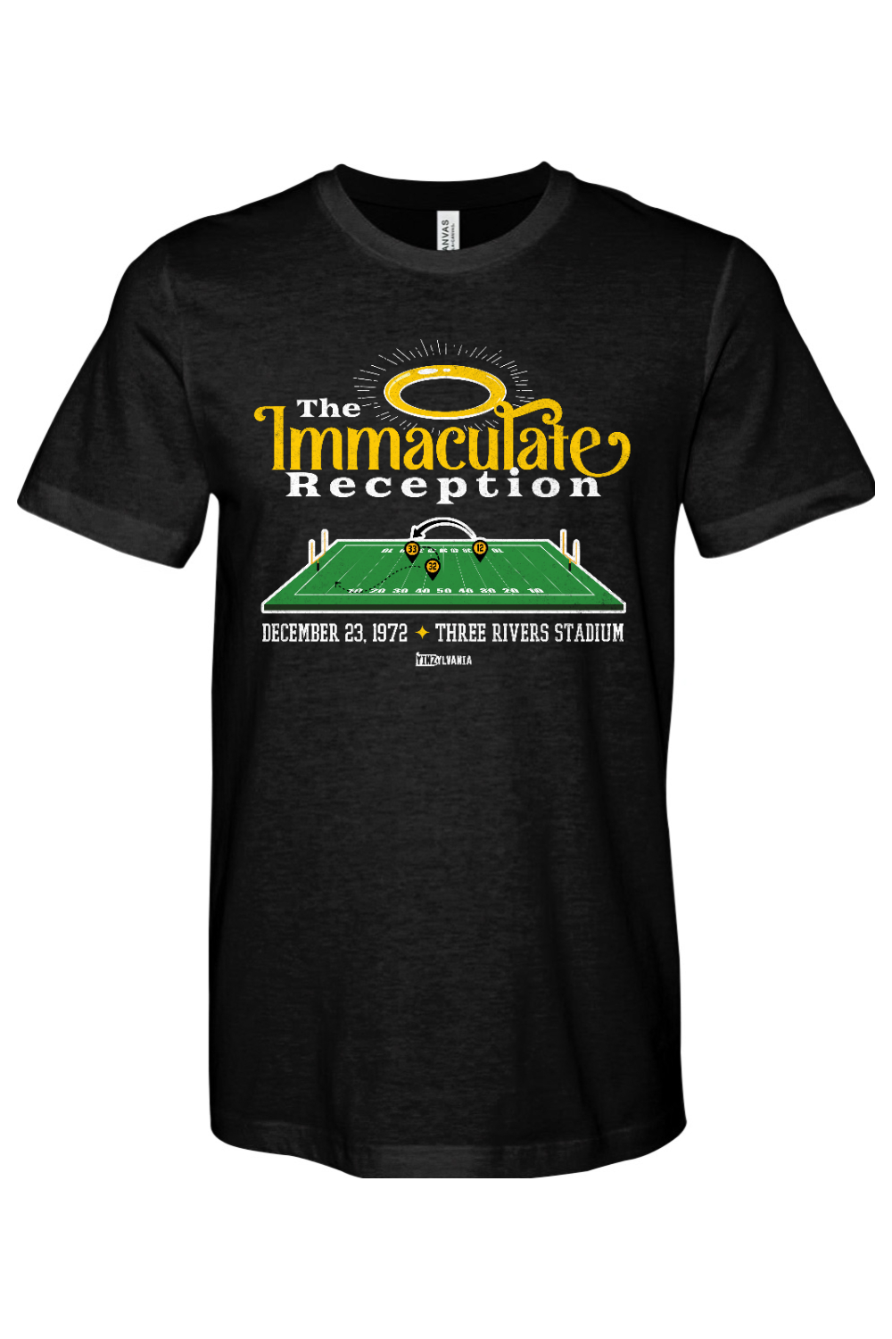 Immaculate Reception - Yinzylvania
